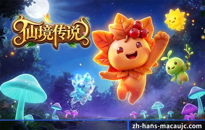 澳门六合彩 APP 深度功能